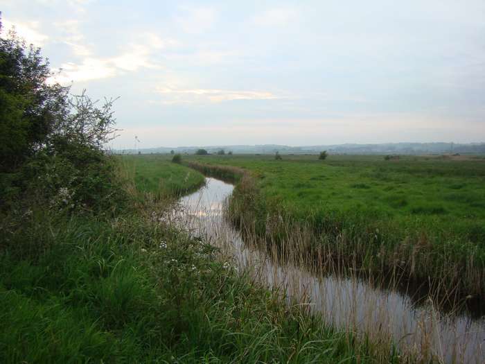18.05.13 Herstmonceux Church Boreham Street Windmill Hill Golden